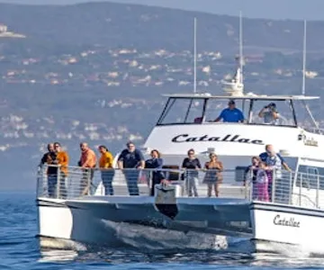 Los Angeles: Luxury Whale Watching Tour